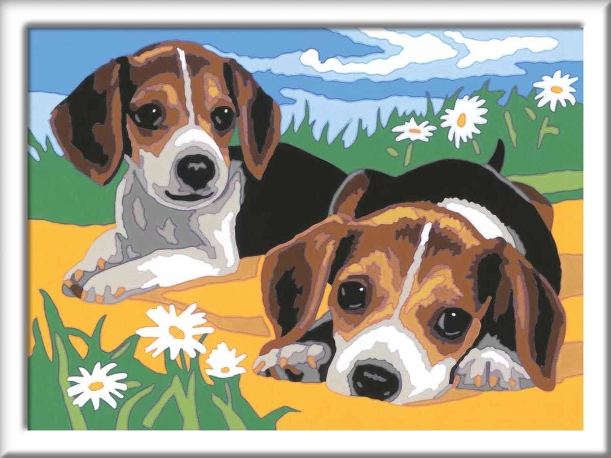 imageRavensburger CreArt Jack Russell Puppies Paint by Numbers Kit for Kids Painting Arts and Crafts for Ages 7 and Up