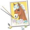 Ravensburger – Horse with Flowers CreArt Paint by Numbers Kit | Fun & Easy DIY Art for Kids Age 9+ | Creative Gift Idea for Birthdays & Holidays