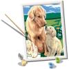 Ravensburger Motherly Love Paint by Numbers Kit for Kids – 20048 – Painting Arts and Crafts for Ages 7 and Up