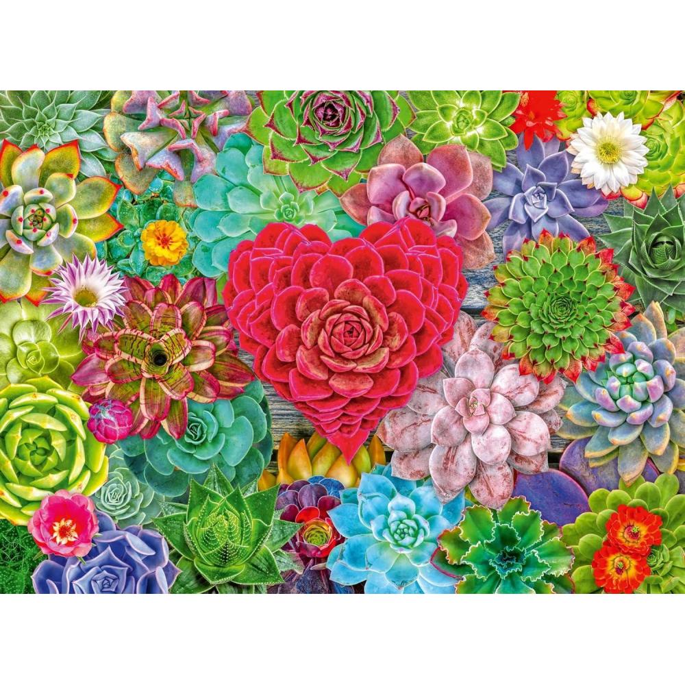 imageRavensburger Succulent Love 500 Piece Jigsaw Puzzle Visually Calming Design AirPurifying Plant Theme FSCCertified Materials