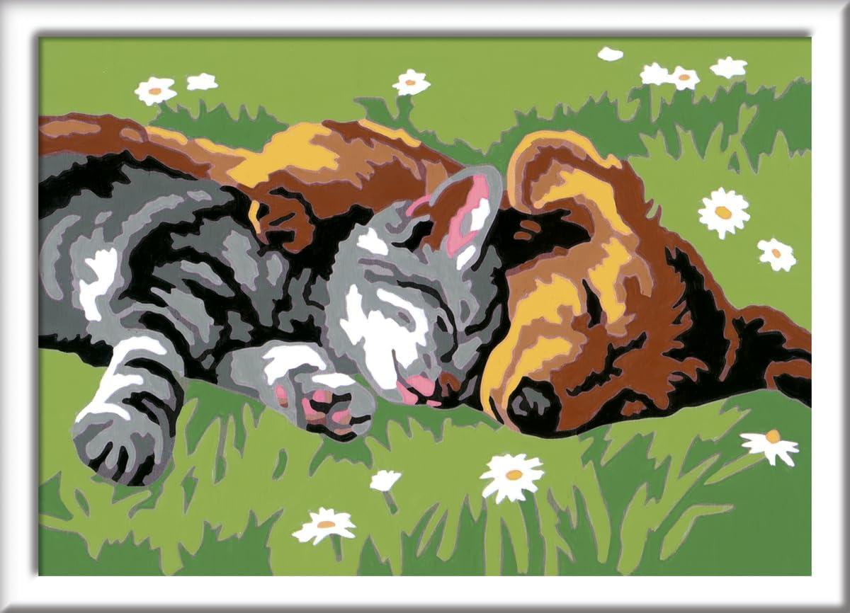 imageRavensburger CreArt Sleeping Cat ampamp Dog Paint by Numbers Kit EasytoUse for Kids Perfect for Home Decor Ideal Gift for Aspiring Artists Ages 7 ampamp Up