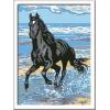 Ravensburger – Beach Horse CreArt Paint by Numbers Kit | Fun & Easy DIY Art for Kids Age 11+ | Creative Gift Idea for Birthdays & Holidays