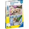 Ravensburger – Puppies & Kitties – 200 Piece Jigsaw Puzzle 2 Pack – XXL Pieces – Easier Assembly – Adorable, Huggable Pups & Kittens – Premium Quality – Ideal Gift – Screen-Free Fun – Children Age 8+