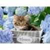 Ravensburger – Puppies & Kitties – 200 Piece Jigsaw Puzzle 2 Pack – XXL Pieces – Easier Assembly – Adorable, Huggable Pups & Kittens – Premium Quality – Ideal Gift – Screen-Free Fun – Children Age 8+