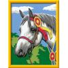 Ravensburger – Show Horse CreArt Paint by Numbers Kit | Fun & Easy DIY Art for Kids Age 9+ | Creative Gift Idea for Birthdays & Holidays