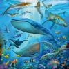 Ravensburger Ocean Life Puzzle Set | 3×49 Piece Jigsaw Puzzles for Kids | Screen-Free Activity | Boosts Concentration and Focus | Great Gift