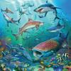 Ravensburger Ocean Life Puzzle Set | 3×49 Piece Jigsaw Puzzles for Kids | Screen-Free Activity | Boosts Concentration and Focus | Great Gift