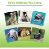Wonder Forge Baby Animals Matching Game – Engaging Memory Booster | Age 3 to 5 | Fast-Paced, Fun & Educational | Ideal Gift for Easter