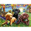 Ravensburger – Puppy Picnic – 100 Piece Jigsaw Puzzle – Exciting, Colorful Scene of Puppies Just Waiting to Play – Ball Sports & Dogs – Premium Quality – Ideal Gift – Screen-Free Fun – Children Age 6+