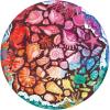 Ravensburger Circle of Colors: Seashells 500 Piece Jigsaw Puzzle for Adults – 12000823 – Handcrafted Tooling, Made in Germany, Every Piece Fits Together Perfectly