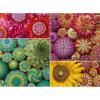 Ravensburger Color Your World Series: Mandala Blooms 500 Piece Jigsaw Puzzle for Adults – 80688 – Handcrafted Tooling, Made in Germany, Every Piece Fits Together Perfectly