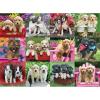 Ravensburger Puppy Pals 500 Piece Jigsaw Puzzle for Adults – 12000196 – Handcrafted Tooling, Made in Germany, Every Piece Fits Together Perfectly(New Packaging)