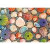 Ravensburger Puzzle Moment: by The Seashore 300 Piece Jigsaw Puzzle for Adults – 12001326 – Handcrafted Tooling, Made in Germany, Every Piece Fits Together Perfectly
