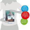 Ravensburger Zermatt Paint by Numbers Kit for Adults – 23500 – Painting Arts and Crafts for Ages 12 and Up