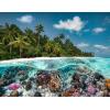 Ravensburger – A Dive in The Maldives – 2000 Piece Jigsaw Puzzle – Stunning Imagery – Beautiful & Intricate – Unique View of an Undersea World – Premium Quality – Puzzles for Adults