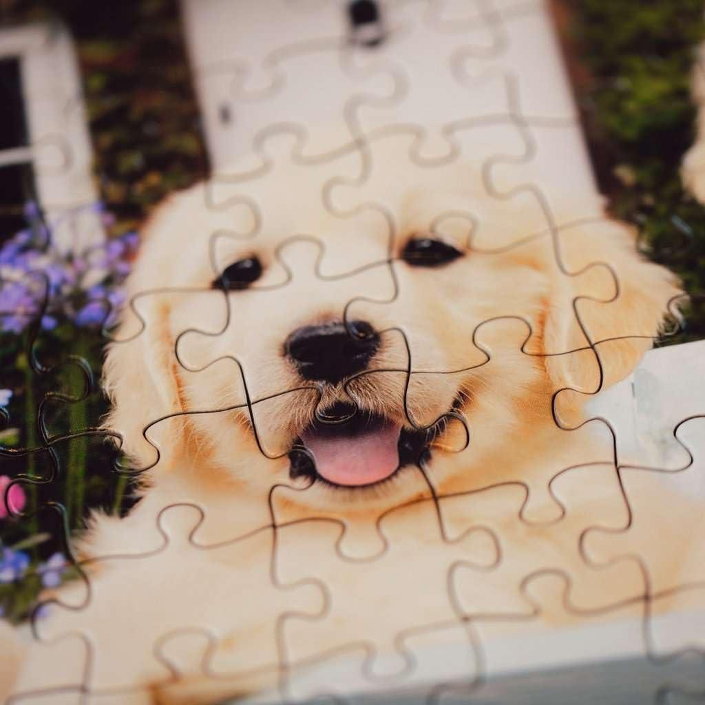 image:imageRavensburger Feel Well Golden Retriever 200 Piece Jigsaw Puzzle Thicker Pieces Large Image Format and Included Stand Premium Quality Puzzle Made in Europe