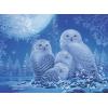 Ravensburger Owls in The Moonlight – 500 Piece Glow-in-The-Dark Jigsaw Puzzle | Mysterious Nocturnal Beauty | Softclick Technology