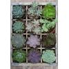 Ravensburger Puzzle Moment: Flowers in New York | 300-Piece Jigsaw Puzzle for Adults | Unique, Softclick Technology | Vibrant, Glare-Free | Perfect as a Gift or Some ‘Me’ Time Activity(Green)
