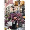 Ravensburger Puzzle Moment: Flowers in New York | 300-Piece Jigsaw Puzzle for Adults | Unique, Softclick Technology | Vibrant, Glare-Free | Perfect as a Gift or Some ‘Me’ Time Activity(Flowers in New York)