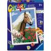 Ravensburger – Haflinger CreArt Paint by Numbers Kit | Fun & Easy DIY Art for Kids Age 7+ | Creative Gift Idea for Birthdays & Holidays