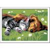 Ravensburger CreArt Sleeping Cat and Dog Paint by Numbers Kit for Kids – 12023073 – Painting Arts and Crafts for Ages 7 and Up