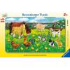 Farm Animals in The Meadow