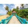Ravensburger Colorful Bridge in Malaysia 1000 Piece Puzzle for Adults