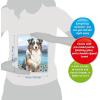 Ravensburger CreArt Australian Shepherd Paint‑by‑Number Kit for Adults – Complete Premium Set with 20 Acrylic Paints, Brushes & Gloss Varnish – Relaxing Creative Hobby – Ages 12+