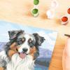 Ravensburger CreArt Australian Shepherd Paint‑by‑Number Kit for Adults – Complete Premium Set with 20 Acrylic Paints, Brushes & Gloss Varnish – Relaxing Creative Hobby – Ages 12+