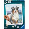 Ravensburger CreArt Australian Shepherd Paint‑by‑Number Kit for Adults – Complete Premium Set with 20 Acrylic Paints, Brushes & Gloss Varnish – Relaxing Creative Hobby – Ages 12+