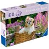 Ravensburger Feel Well & Puzzle: Sweet Little Dog 100 Piece Puzzle for Adults