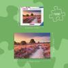 Ravensburger Pink Pathway 1000 Piece Puzzle for Adults