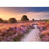 Ravensburger Pink Pathway 1000 Piece Puzzle for Adults