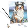 Ravensburger CreArt Australian Shepherd Paint‑by‑Number Kit for Adults – Complete Premium Set with 20 Acrylic Paints, Brushes & Gloss Varnish – Relaxing Creative Hobby – Ages 12+