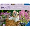 Ravensburger Feel Well & Puzzle: Sweet Little Dog 100 Piece Puzzle for Adults