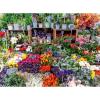 Ravensburger Flower Market, France 500 Piece Puzzle for Adults