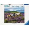 Ravensburger Wild Horses in The Heather 2000 Piece Puzzle for Adults