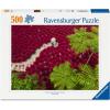 Ravensburger A Sea of Red 500 Piece Puzzle for Adults