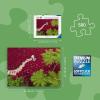 Ravensburger A Sea of Red 500 Piece Puzzle for Adults