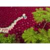 Ravensburger A Sea of Red 500 Piece Puzzle for Adults