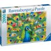 Ravensburger Land of The Peacock 2000 Piece Jigsaw Puzzle for Adults – 16567 – Every Piece is Unique, Softclick Technology Means Pieces Fit Together Perfectly
