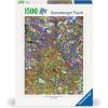 Ravensburger Shoal 1500 Piece Jigsaw Puzzle for Adults – 17264 – Every Piece is Unique, Softclick Technology Means Pieces Fit Together Perfectly(New Packaging)