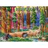 Ravensburger Redwood National Park 500 Piece Puzzle for Adults